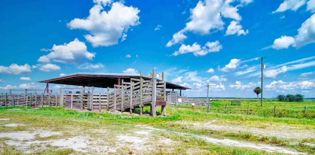 Cattle Barn / Cattle barn and farm at the Dinner Island Ranch Wildlife Management Area in south central Florida
