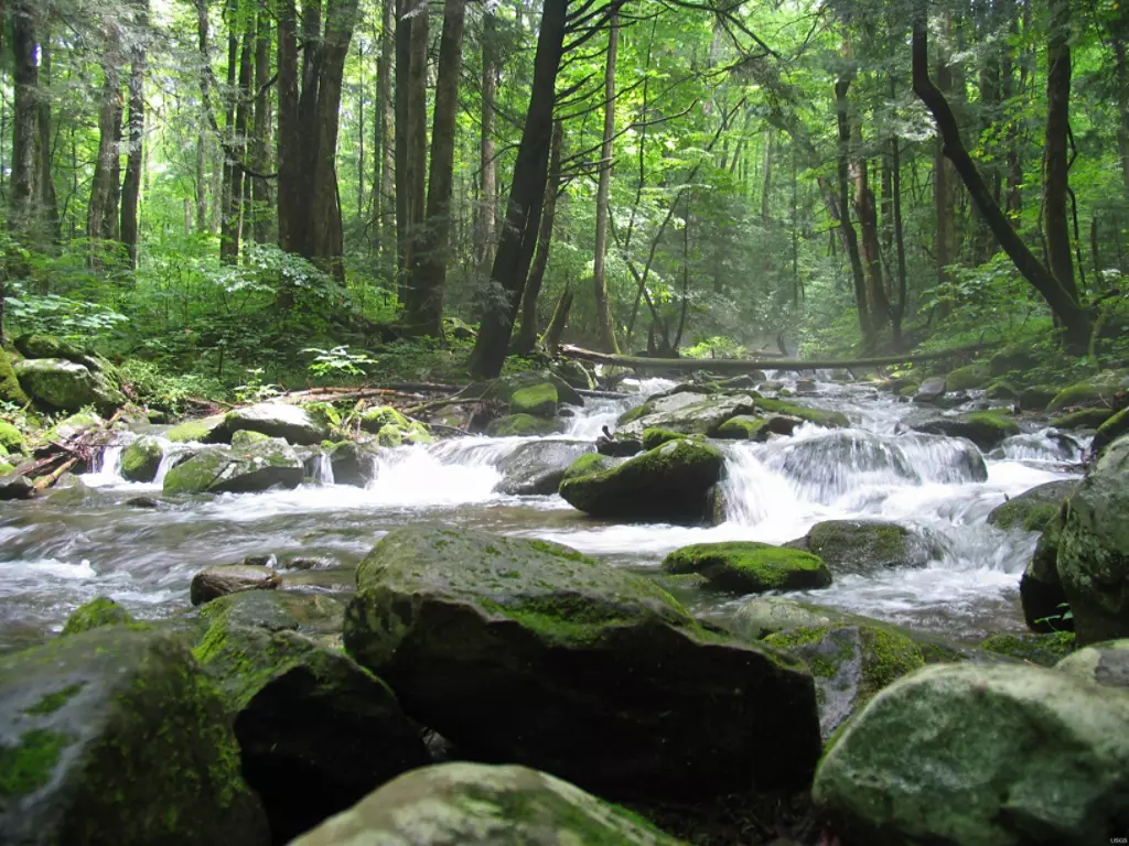 Waterfall Near Crosby Campground