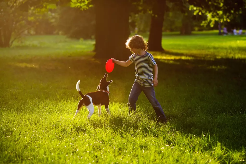 child playing frisbee with dog