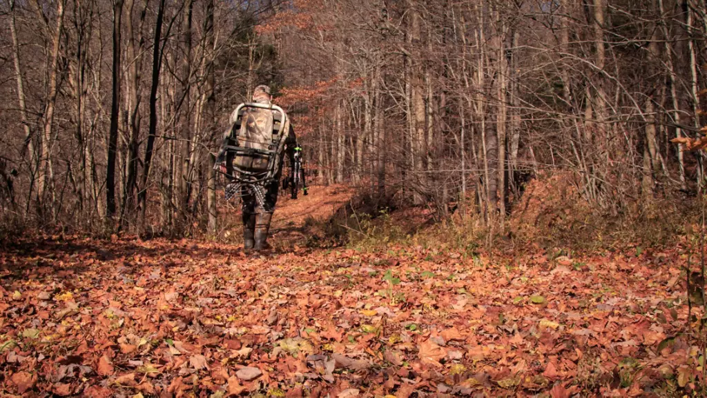 Man walking into the woods.