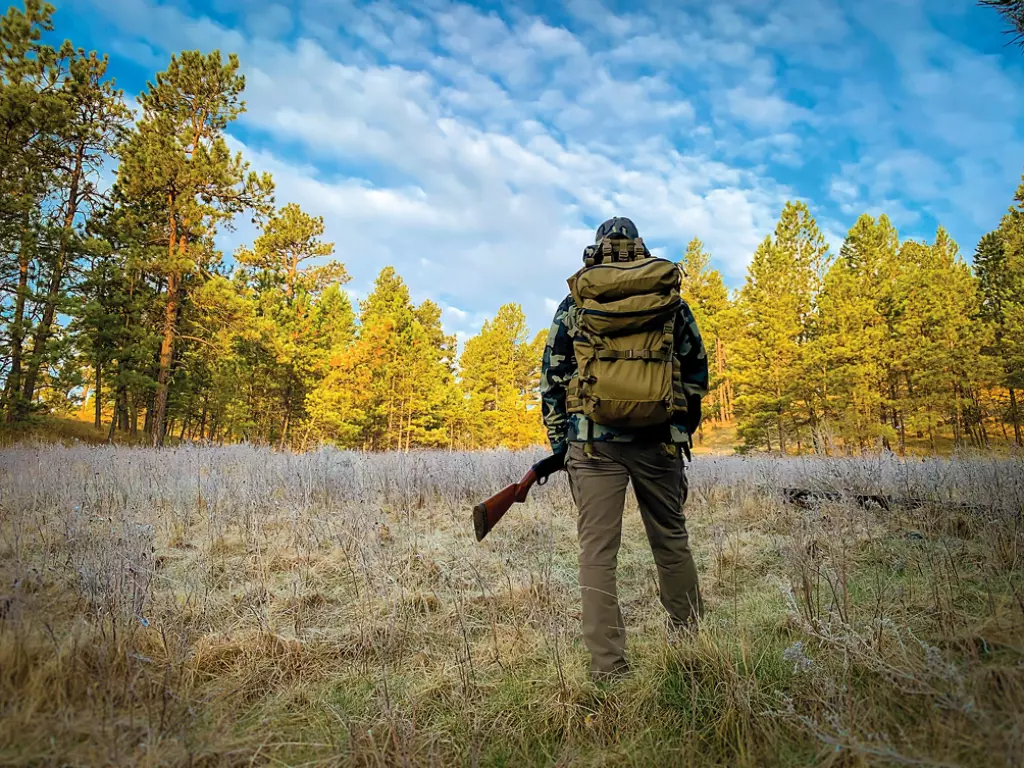 Man staring into the woods