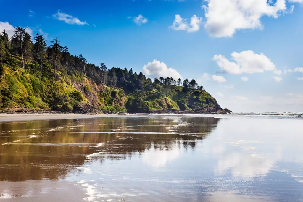 Beach view of Long Beach Peninsula in Washington. 