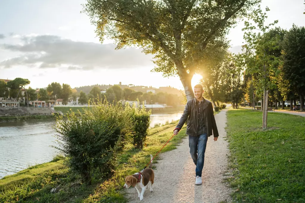 Dog being walked by owner around lake.